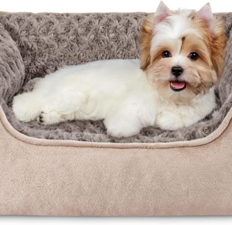 Rectangle Dog Bed for Large Medium Small Dogs Machine Washable Sleeping Sofa Non-Slip Bottom Breathable Soft Puppy Bed Durable Orthopedic Calming Pet Cuddler, Multiple Size, Beige