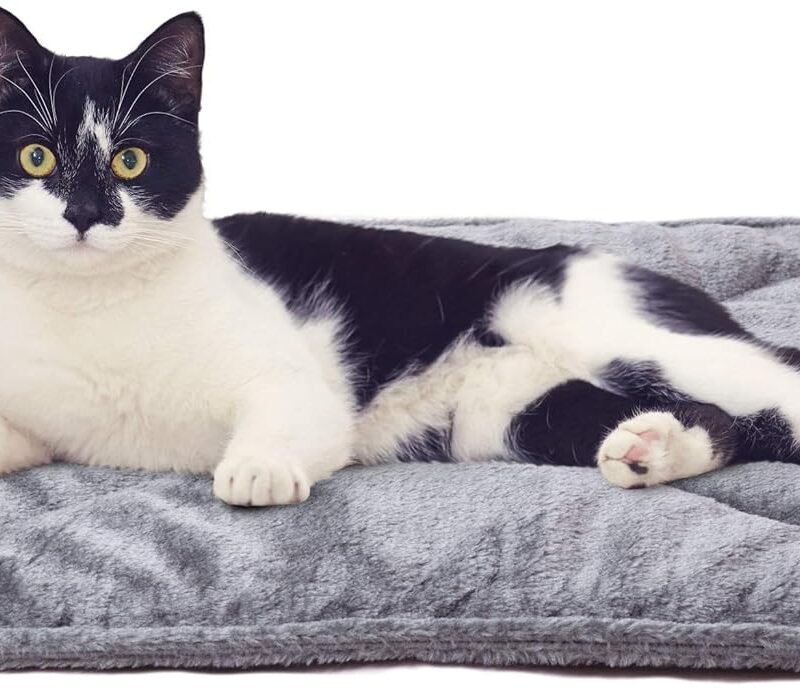 Self-Warming Cat Bed for Indoor Cats & Small Dogs, Washable & Reflects Body Heat - Quilted Faux Fur Reflective Bed Mat - Gray, Small
